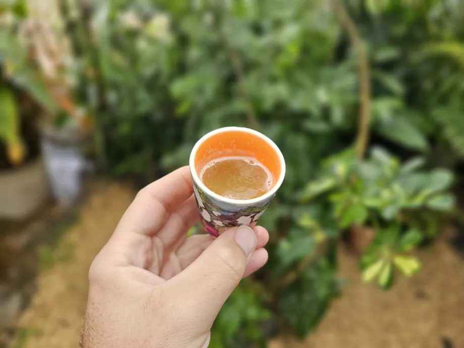 Zuckerrohrsaft