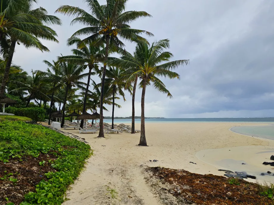 Palmar Strand