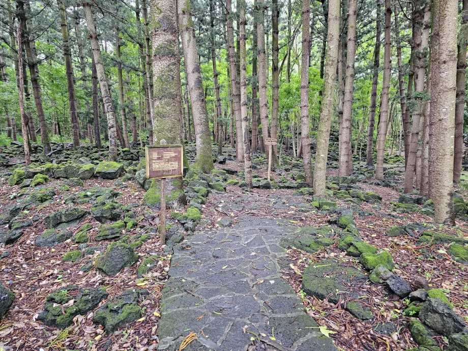 Bras d'Eau National Park, Wanderweg