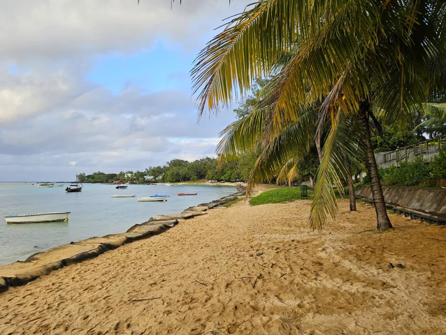 Bain Boeuf Strand