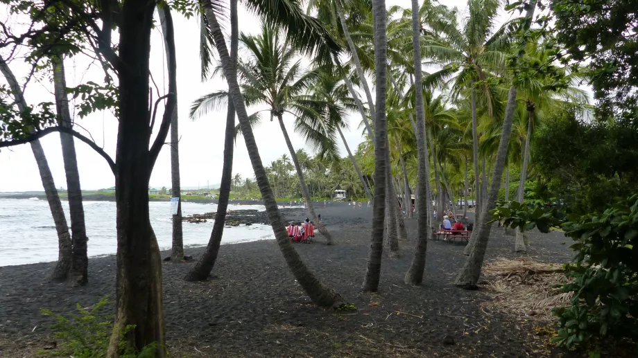 Palmenhain am Strand von Punaluu