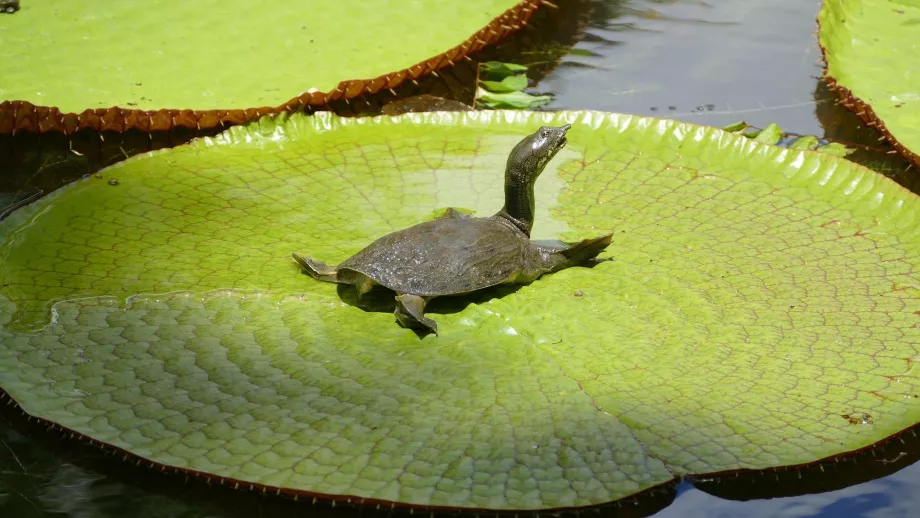 Botanischer Garten