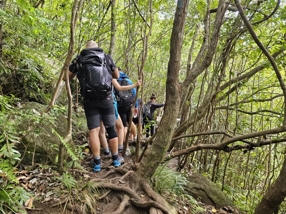Weg entlang der 7 Kaskaden