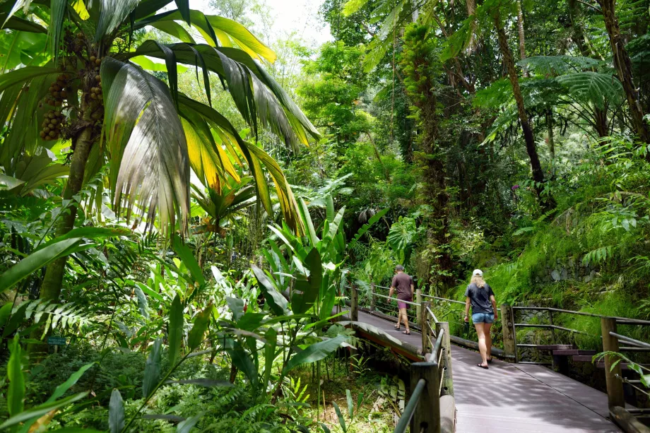 Tropischer Botanischer Garten von Hawaii