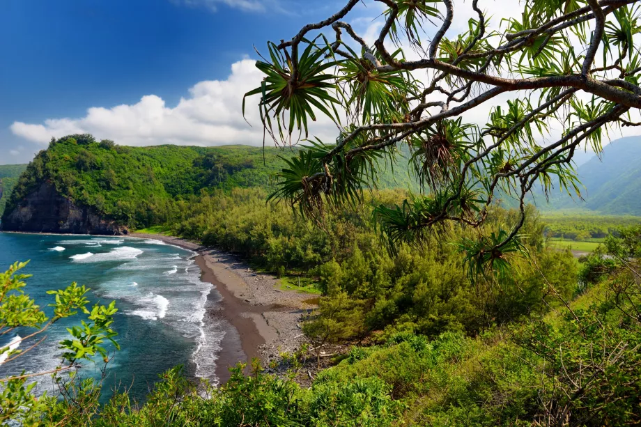 Pololu-Pfad