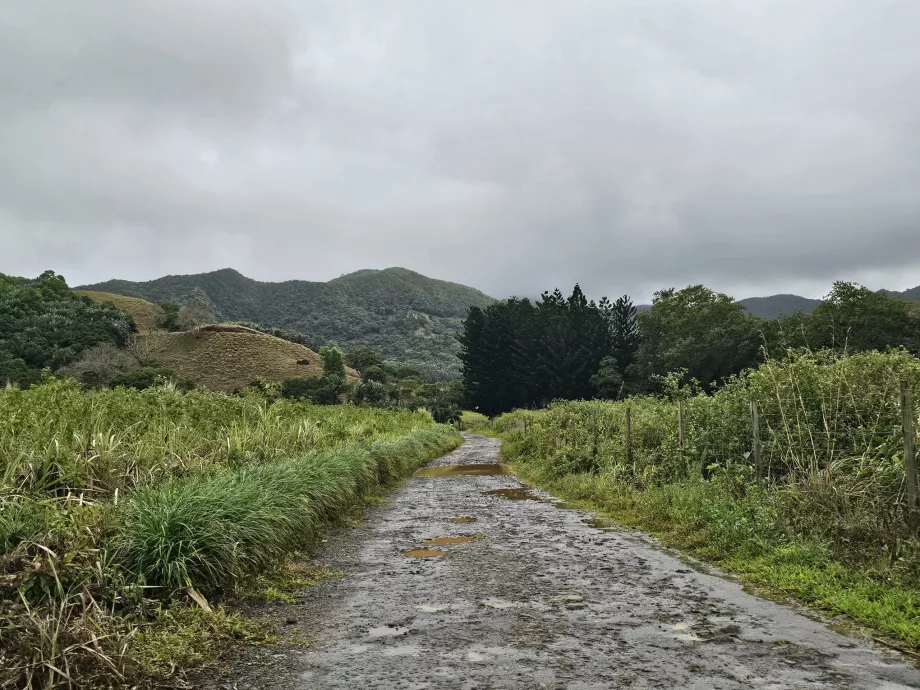 Vallée de Ferney