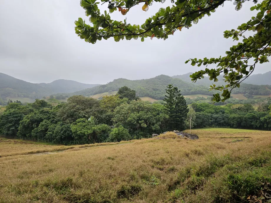 Vallée de Ferney