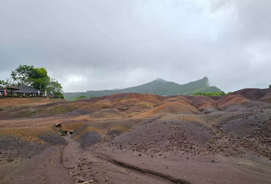 Nördliche Farberde, Chamarel