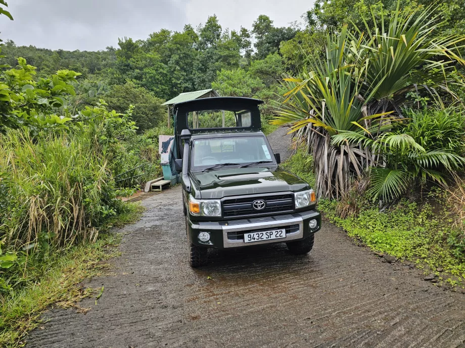 Jeep im Ebenholzwald