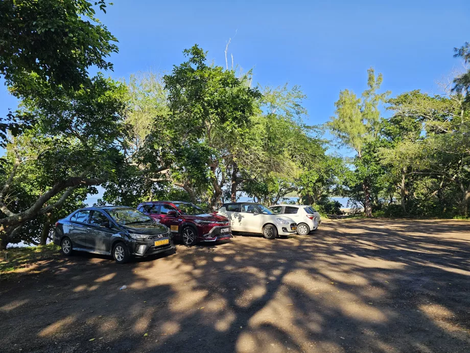 Parken unter Le Morne