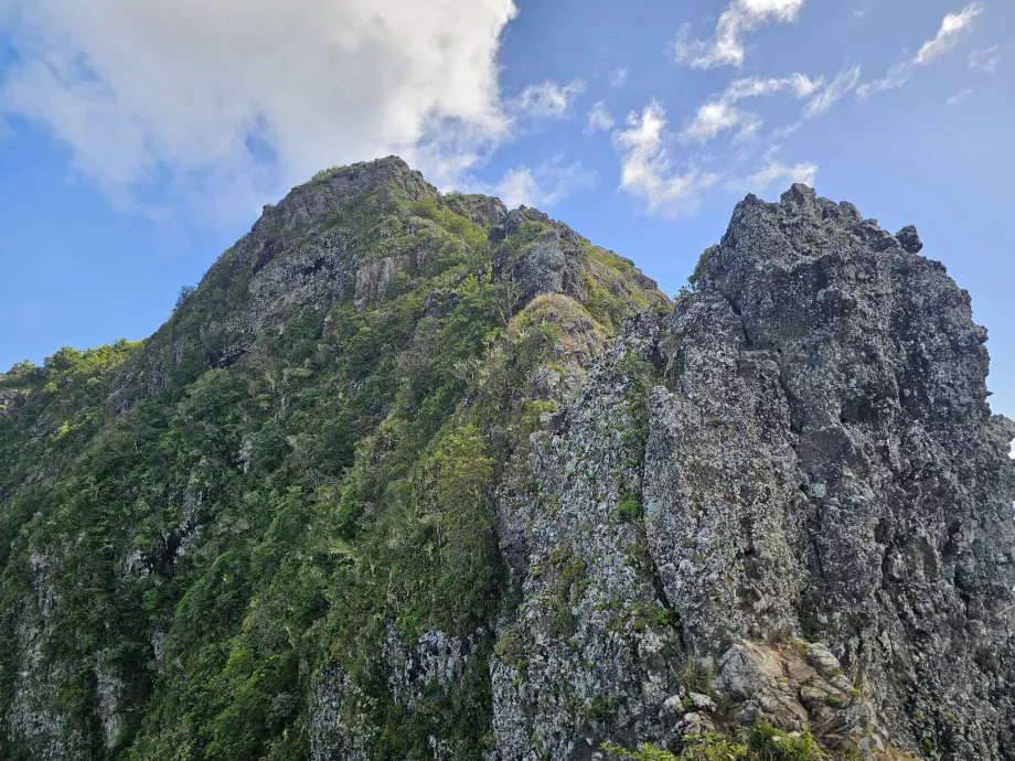 Der eigentliche Höhepunkt von Le Morne