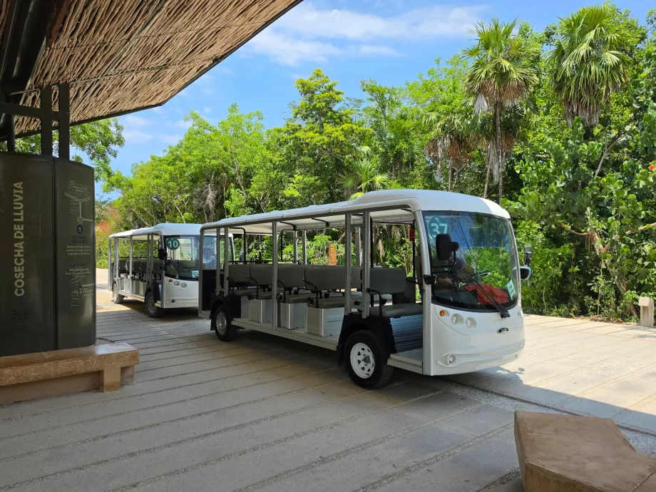 Archäologische Stätte von Tulum, Transport mit dem Elektrobus