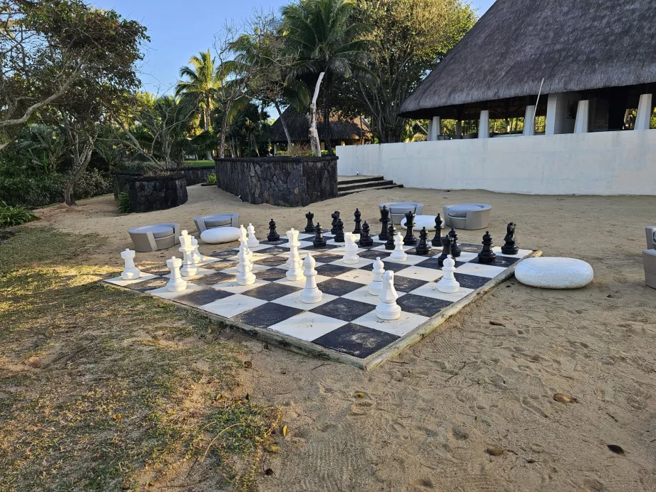Schach