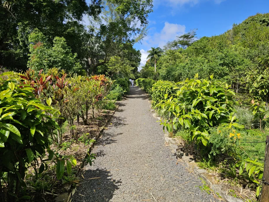 Saint Aubin, Botanischer Garten
