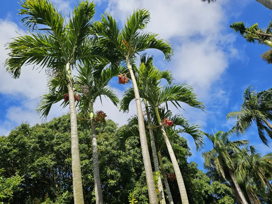 Saint Aubin, Botanischer Garten