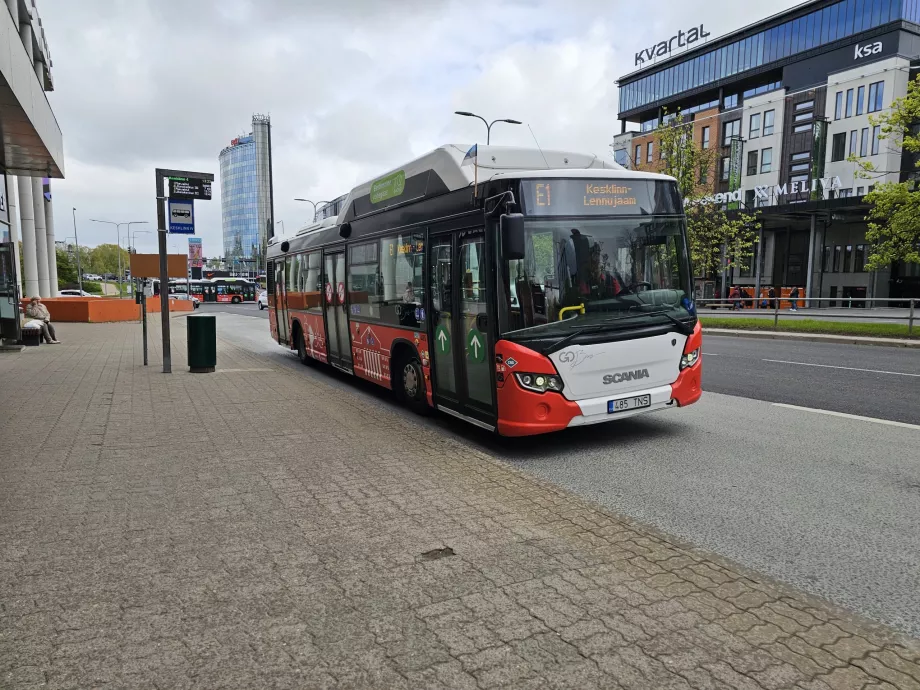 Bushaltestelle E1 im Stadtzentrum