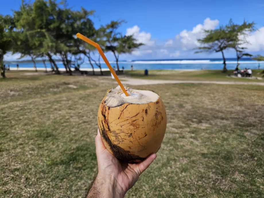 Kokosnuss am Strand