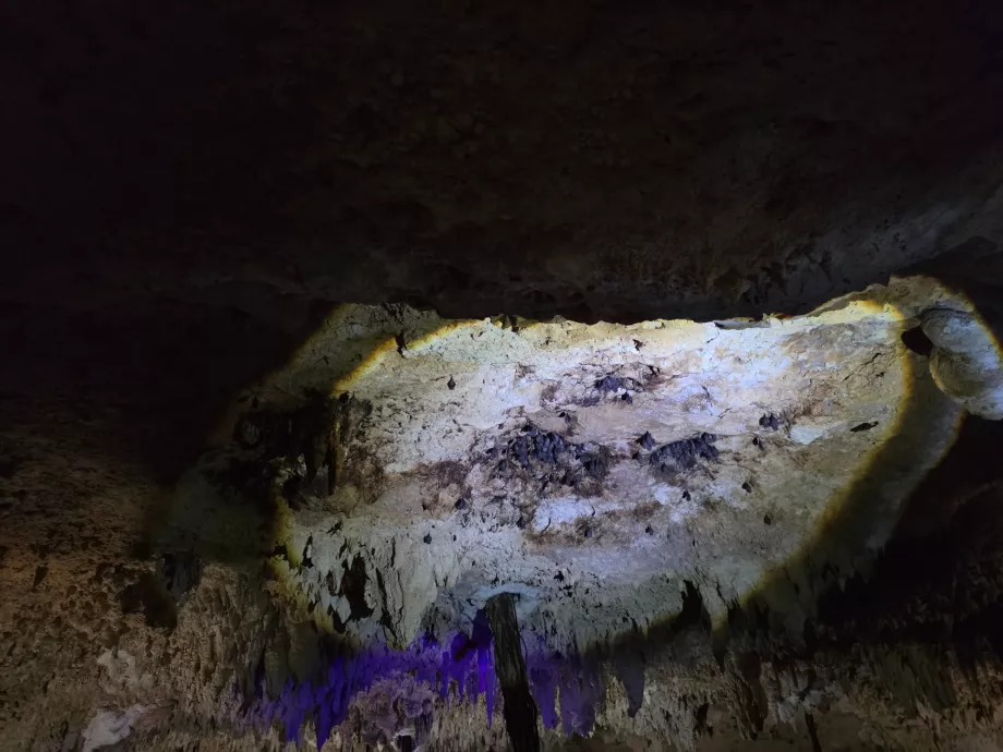 Aktun-Chen-Höhle