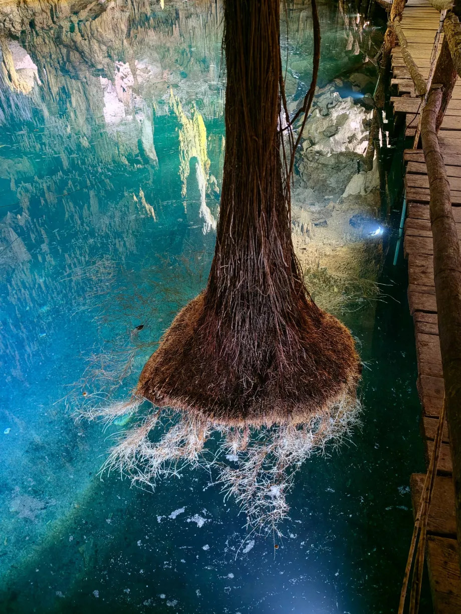 Aktun-Chen-Höhle