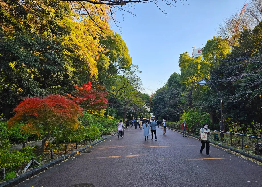 Ueno-Park