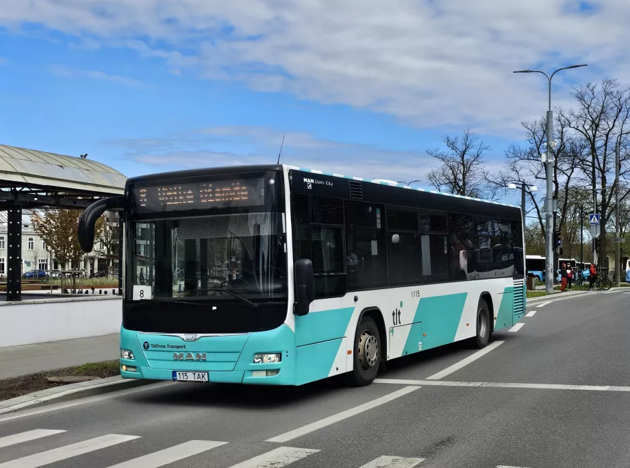 Busse Tallinn