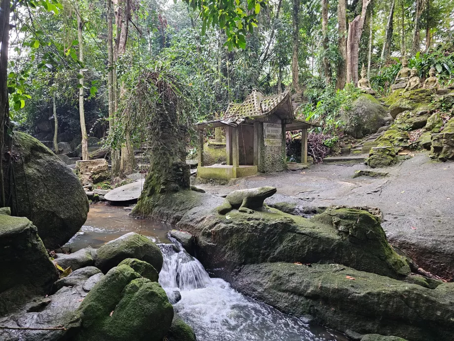 Tamrin Zauberhafter Garten