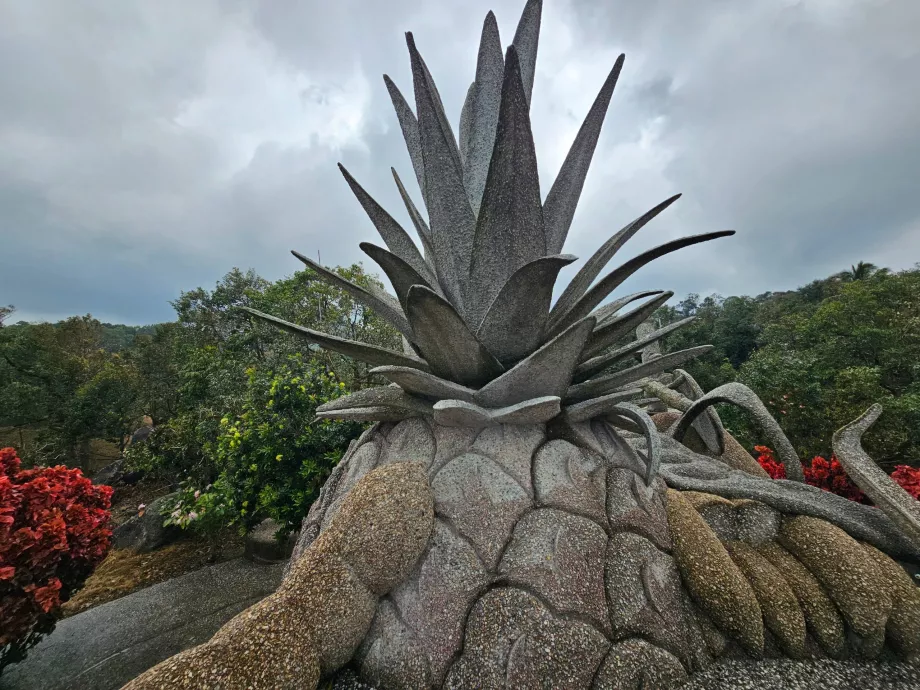 Magische Steinfrüchte