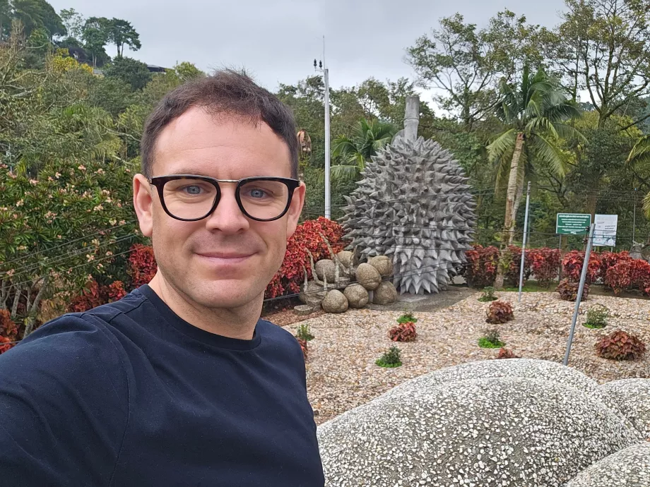 Magische Steinfrüchte