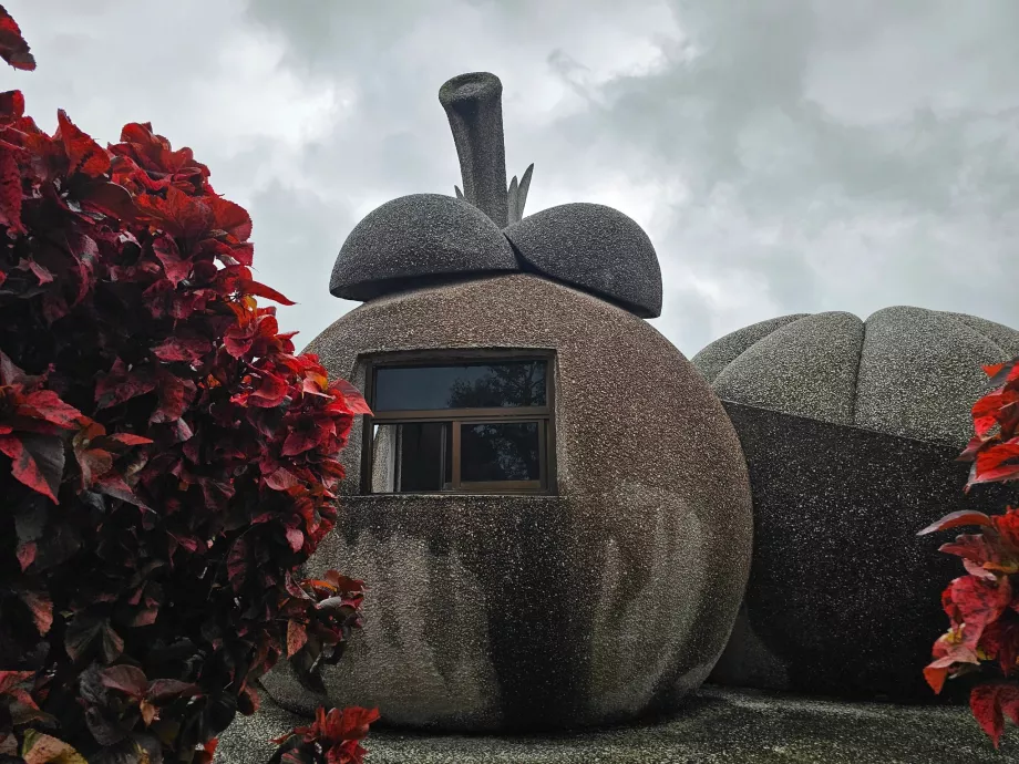 Magische Steinfrüchte