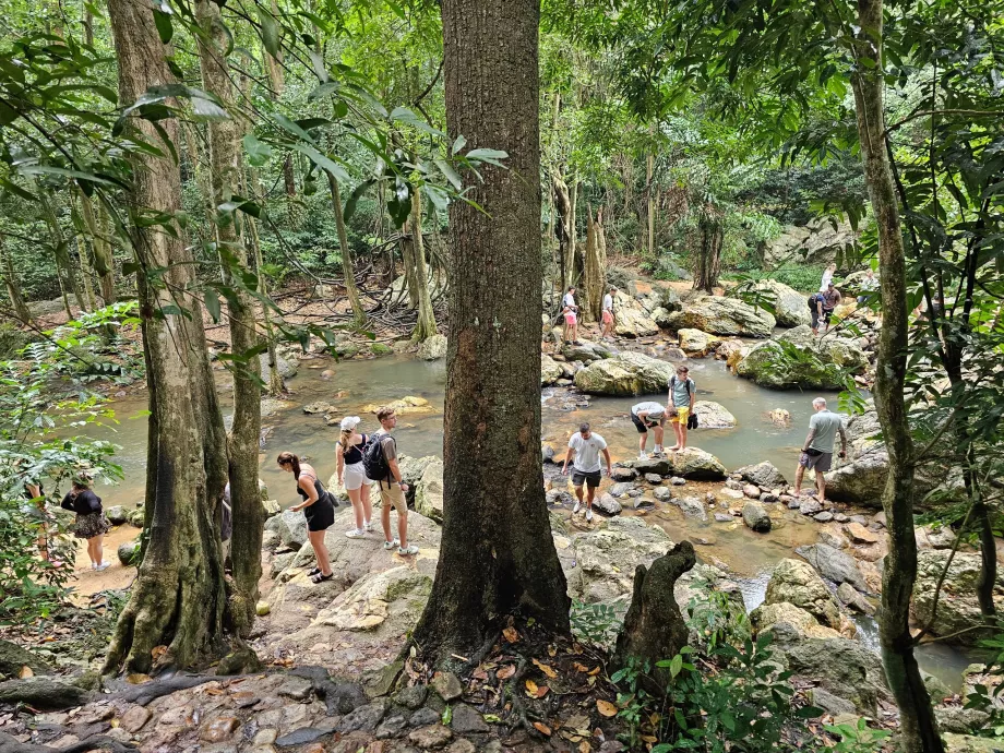 Na Muang Wasserfall 1