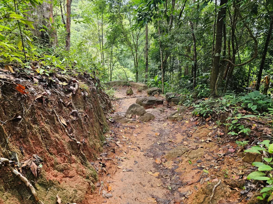 Straße zum Namuang Wasserfall 2