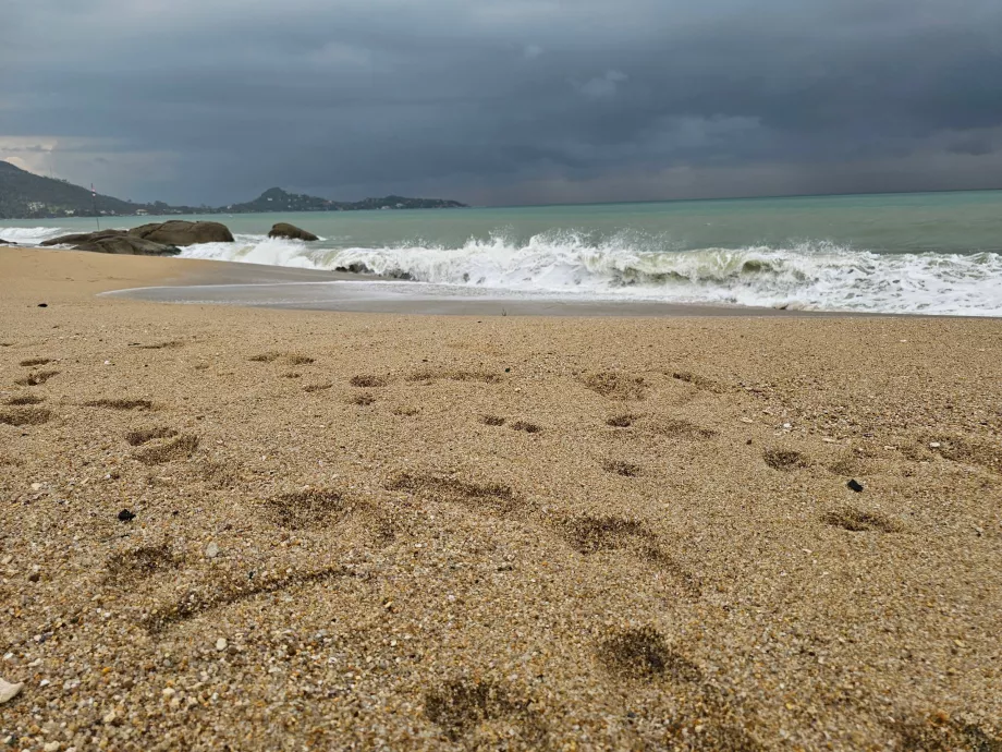 Gröberer Sand am südlichen Teil des Lamai Beach