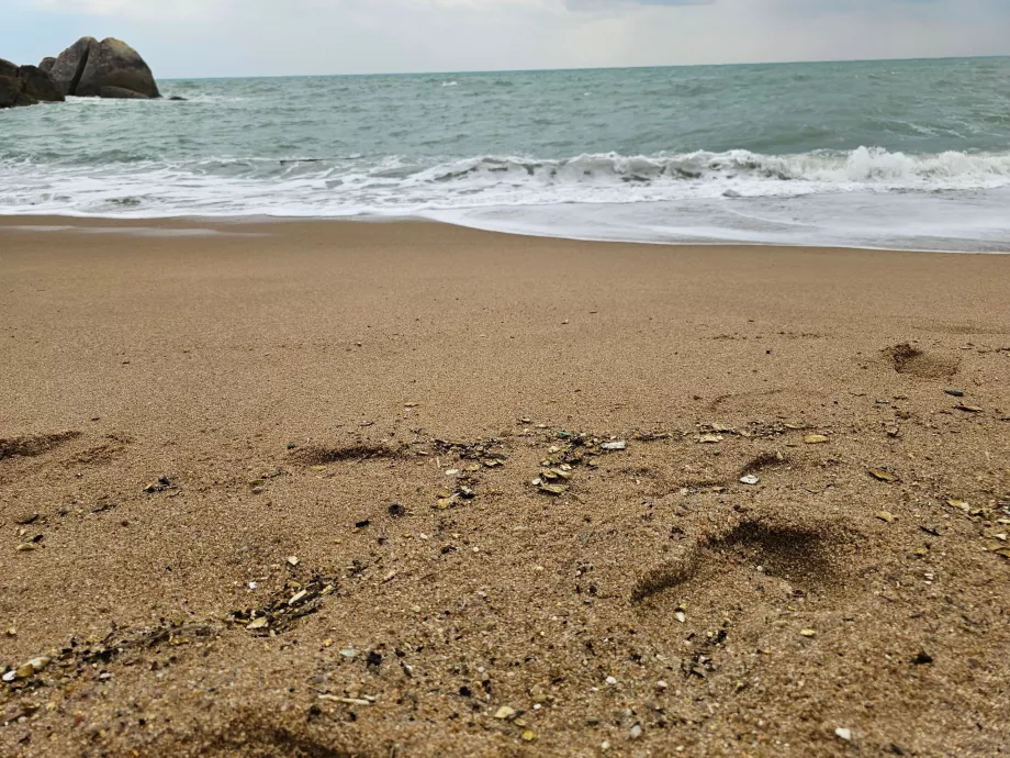 Coral Cove Beach, Sandqualität