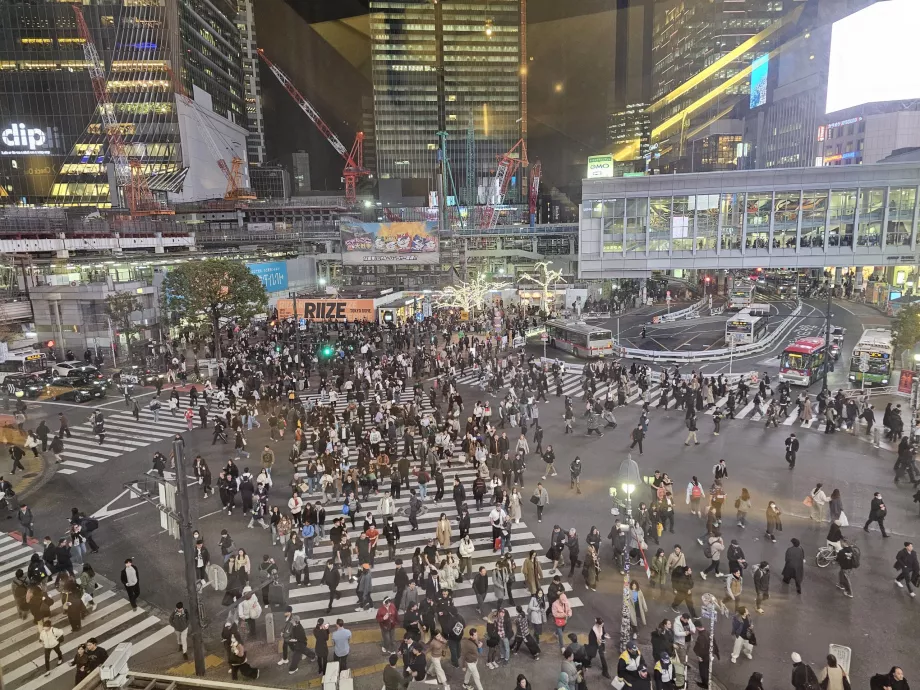 Share Lounge, Blick auf die Shibuya-Kreuzung