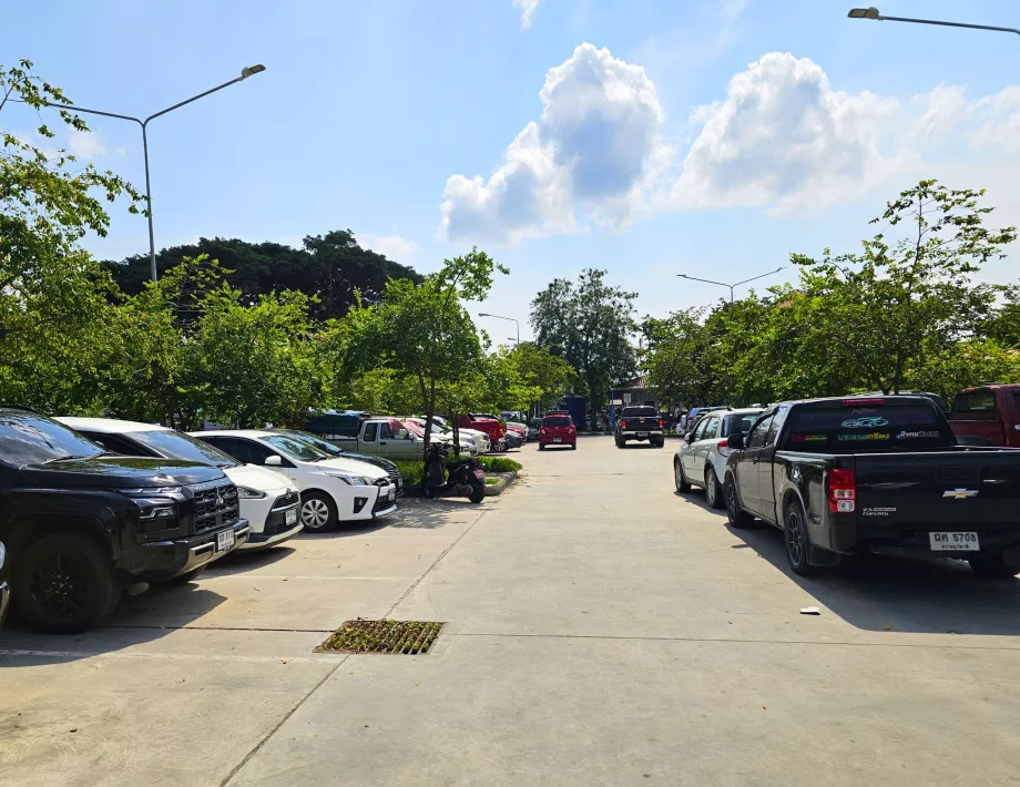 Parken am Yachthafen, Abholung des Mietwagens