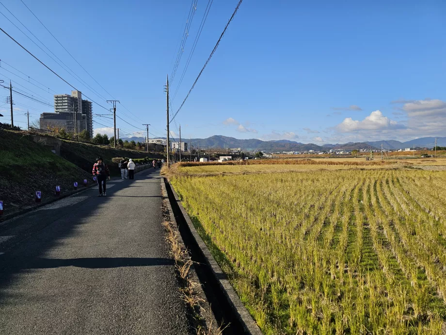 Zu Fuß vom Bahnhof zum Schiff