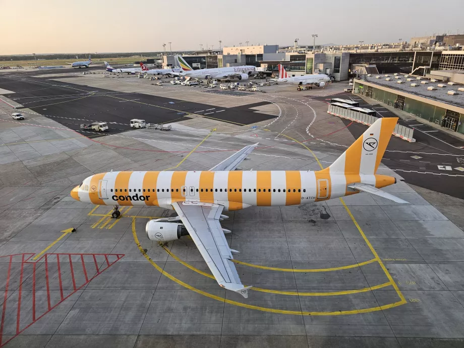 Ein gelber Airbus A320 auf dem Frankfurter Flughafen