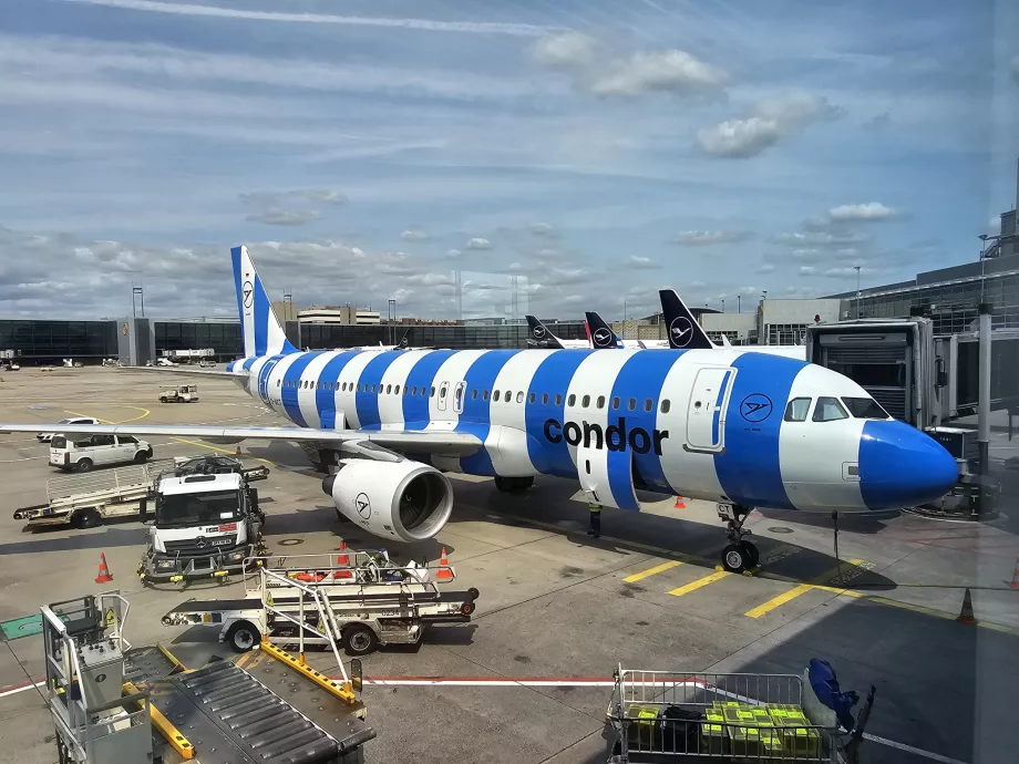 Blau Airbus A320 Condor