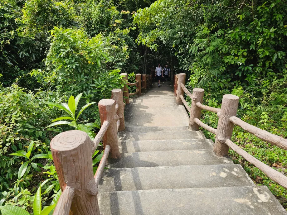 Namtok Than Sadet NP