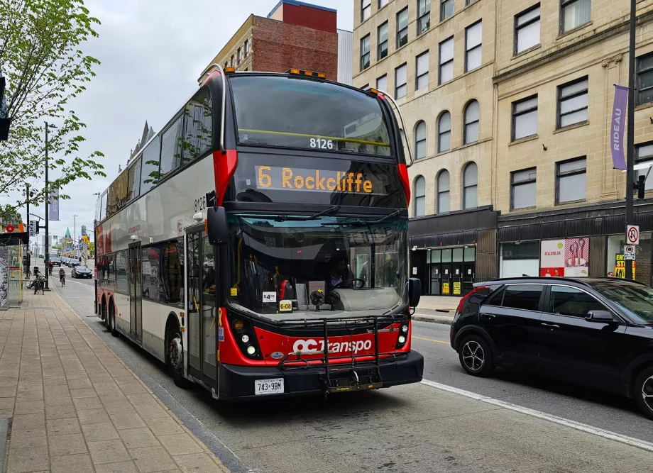 Bus Transport