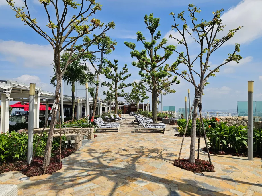 Sonnenliegen auf der Dachterrasse des MBS Hotels