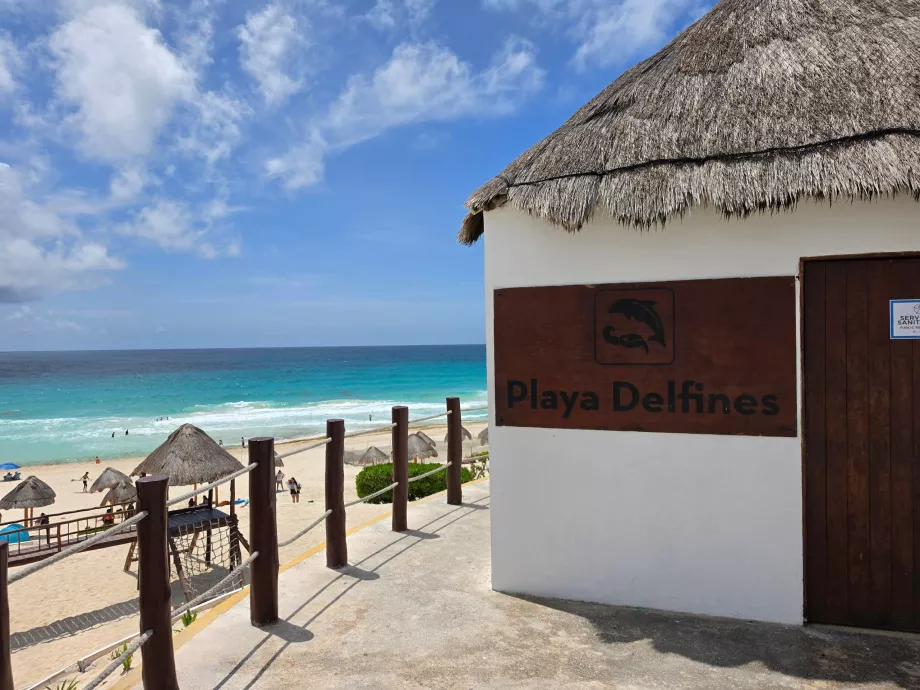 „Play Delfines“ abspielen