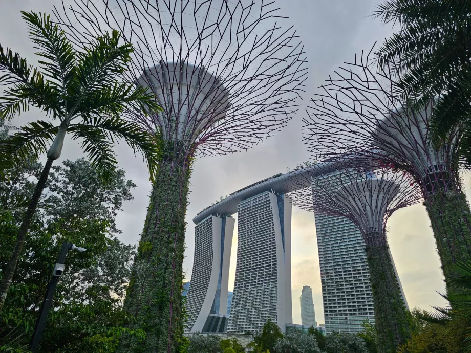 Das Gebäude des Marina Bay Sands von den Gardens by the Bay aus gesehen