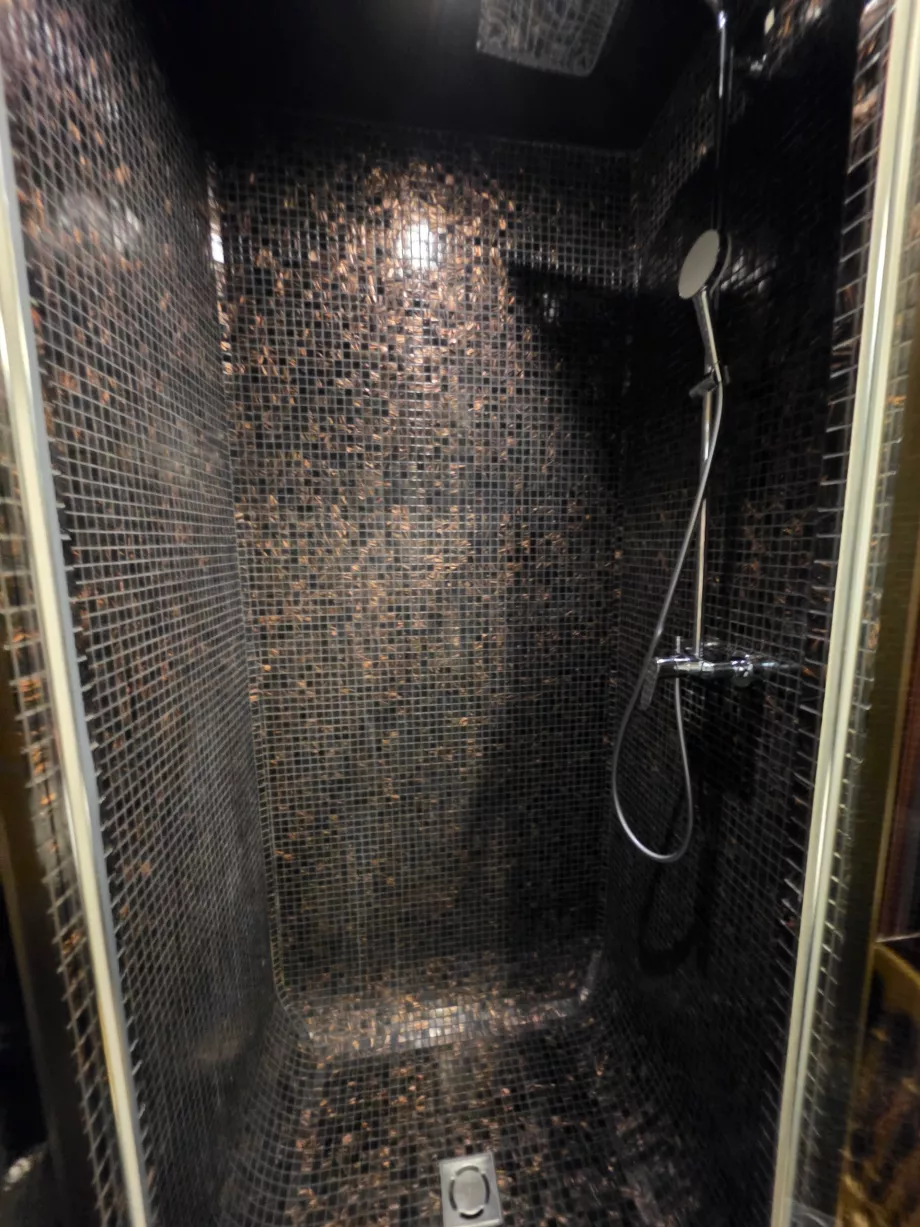 Duschkabine im angrenzenden Badezimmer