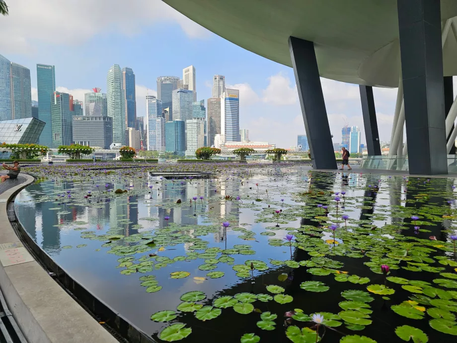 KunstWissenschaftliches Museum