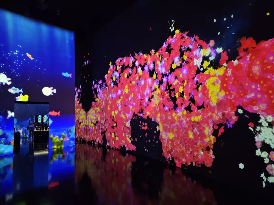 KunstWissenschaftliches Museum