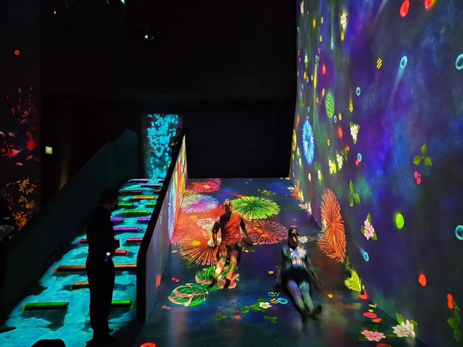 KunstWissenschaftliches Museum