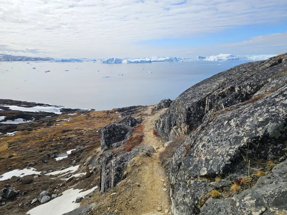 Wandern entlang des Eisfjords