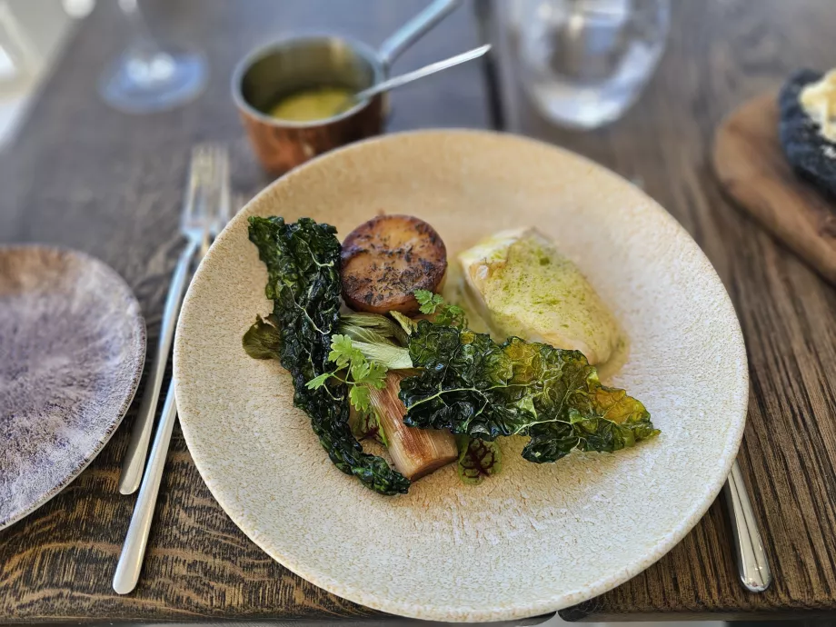 Fisch - Hauptgericht