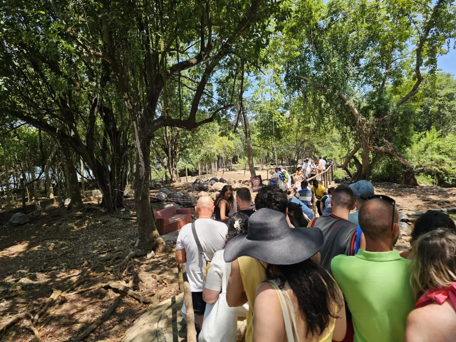Prison Island, ein Weg durch das Gehege der Riesenschildkröten
